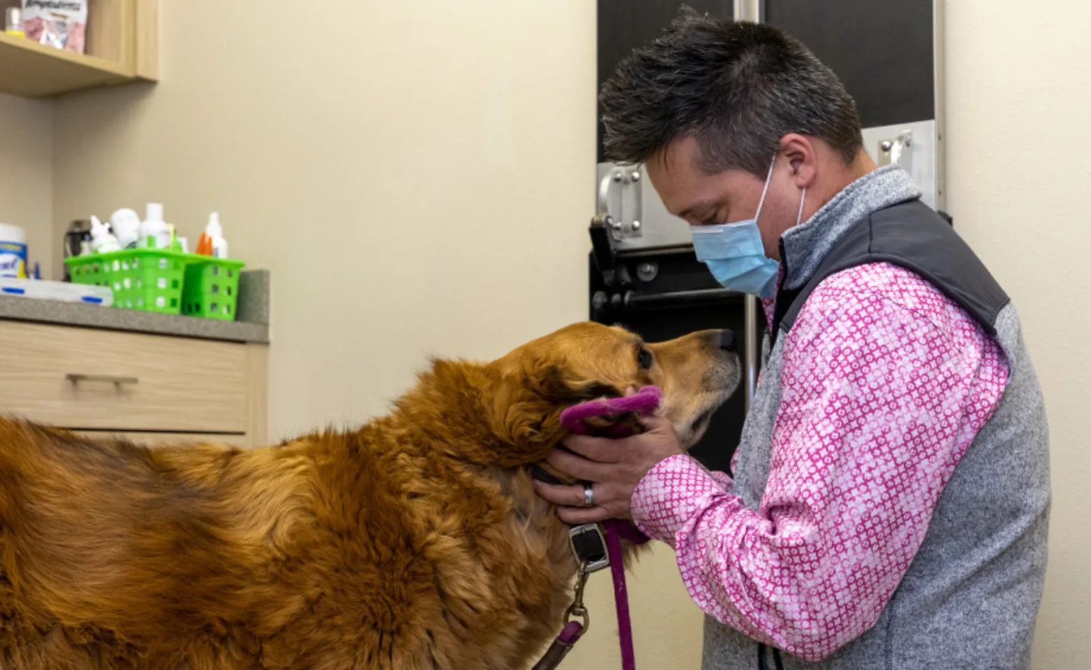 Doctor Examine Dog at Clover Valley Veterinary Services